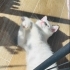 Sevgi dolu minik Lio fotoğraf