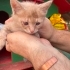 Dünya tatlısı görme engelli bebek fotoğraf