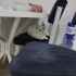 Güzel Kızımıza Yuva Arıyoruz!! fotoğraf