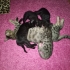 Acil sahiplendirilir fotoğraf