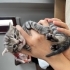 4 sekere yuva ariyoruz fotoğraf