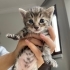 4 sekere yuva ariyoruz fotoğraf