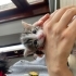 4 sekere yuva ariyoruz fotoğraf