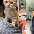 Sarman bebek ömürlük yuvasını arıyor fotoğraf