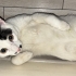 Onun için ayrılmak zorundayım fotoğraf