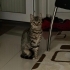 Bu güzellige yuva fotoğraf