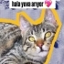 SOFİ AİLESİNİ ARIYOR fotoğraf