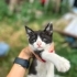 Sevimli bebeklerimize ömürlük yuva fotoğraf