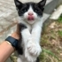 Sevimli bebeklerimize ömürlük yuva fotoğraf