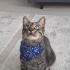 Aleximize yuva arıyoruz fotoğraf