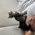 2 aylık bebek yuva arıyor fotoğraf