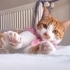 PEMBE FULARLI KIZ fotoğraf