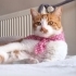 PEMBE FULARLI KIZ fotoğraf