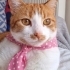 PEMBE FULARLI KIZ fotoğraf