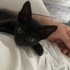 Küçük Zeytin Kıza Yuva Arıyoruz fotoğraf
