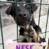 Neşe, evinize neşe getirsin mi?🫠 fotoğraf