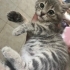 Pamuk gibi bir bebek fotoğraf