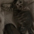 Pamuk gibi bir bebek fotoğraf