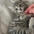 Pamuk gibi bir bebek fotoğraf