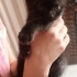sokakta çocukların elinden kurtarılan 2 böceğe yuva fotoğraf