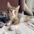 Çiçek Ömürlük Yuvasını Arıyor fotoğraf