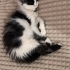 Eve uyumlu sevecen fotoğraf