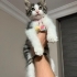 Melezim çok pofuduğum. fotoğraf