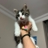 Melezim çok pofuduğum. fotoğraf