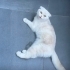 Bal Prenses Hanım 🏡 için yuva fotoğraf