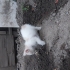 Masum Bebeğimiz fotoğraf