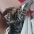 Bebek evini annesini arıyor fotoğraf