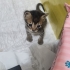 Bebek evini annesini arıyor fotoğraf
