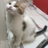 Cana yakın oyuncu fotoğraf