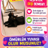 Acil Bombay ömürlük yuvasını arıyoruz fotoğraf