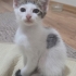 Sakin, Uysal, Sevimli bir bebek fotoğraf