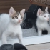 Sakin, Uysal, Sevimli bir bebek fotoğraf