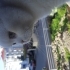 Kalıcı yuva arıyoruz fotoğraf