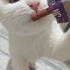 Pamuğumuzu sahiplendiriyoruz fotoğraf