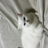 Oyuncu Kızıma Yuva Arıyorum fotoğraf