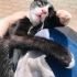 Sokakta perişan fotoğraf