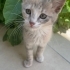 Sırtüstü Yatıp Sevgi Bekleyen Bu Masum Gözlere Evinizi Açar Mısınız? fotoğraf