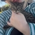 KURTARDIĞIMIZ YAVRU KEDİ ALVIN YUVA ARIYOR🐾 fotoğraf
