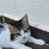 İnsana çok yakın, eğlenceli, meraklı bir bebek fotoğraf