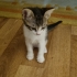 İnsana çok yakın, eğlenceli, meraklı bir bebek fotoğraf