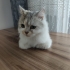 Cok uysallar ve sevecenler fotoğraf