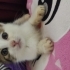 Çok oyuncu ve sevimli bir çocuk fotoğraf