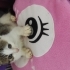 Çok oyuncu ve sevimli bir çocuk fotoğraf