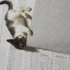 Çok oyuncu ve sevimli bir çocuk fotoğraf