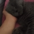 Sokaktan bulundu fotoğraf