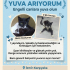 Acil yuva arıyoruz fotoğraf